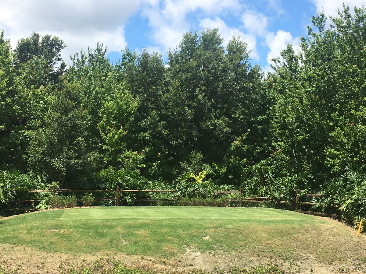 Topdresing tee's with 6-3-0 greens grade @GreenEdge1. 14 pro tee stripingbuo nicely <a href="/CountryClubWH/">Country Club of WH</a>