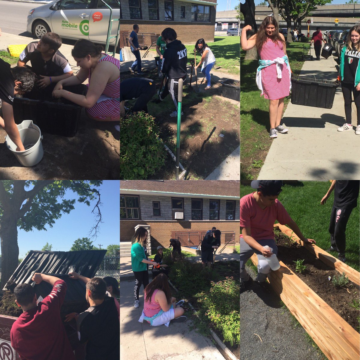 What a beautiful day to work on our landscaping project with @NDGFood <a href="/Perspectives1HS/">Perspectives 1 HS</a> !!