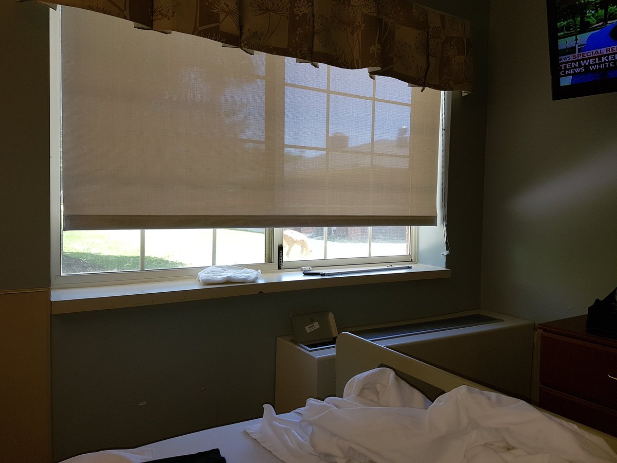 pair_d's tweet image. Outside my window