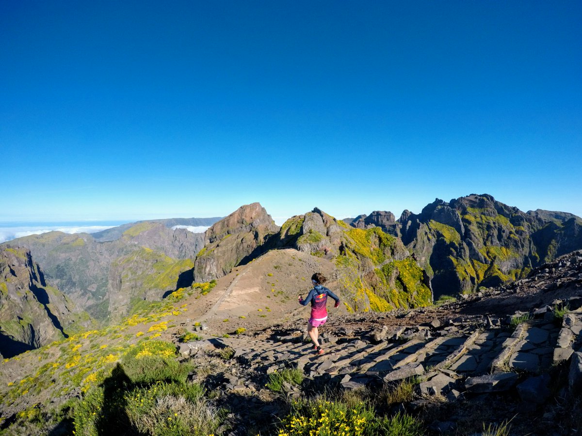 grleire's tweet photo. Bye, bye, Madeira. Aterrizaje forzoso en la realidad.
3 exámenes y... vuelvo a despegar!! guauu guauuuu https://t.co/Ds25stdsQ4