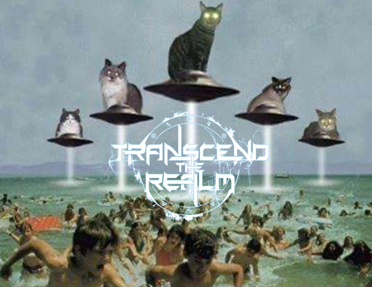 TranscendRealm's tweet photo. June 28th we'll be releasing our new EP, "Perennial Discoveries"

Pre-orders are here:⬇️
https://t.co/HEPitfmoxL https://t.co/bLBrhfWVgi