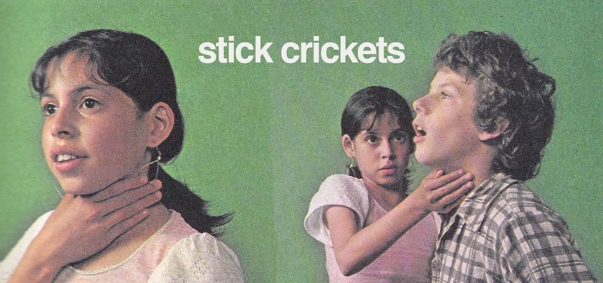 stick crickets (@stickcrickets) on Twitter photo 