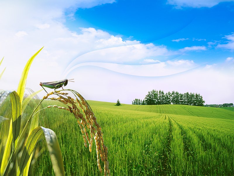 alltechasianews's tweet photo. #Farmfriend’s #drones that protect farms from pests draw #investors to its #SeriesA, & more https://t.co/rDGnyGjbF8 via @allchinatech https://t.co/CS02mj9TZC