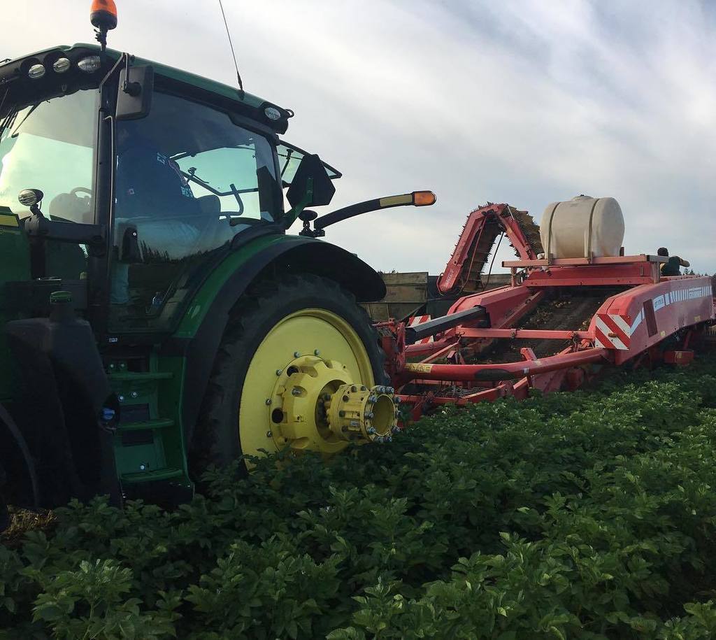 Heppell's Potato tweet media