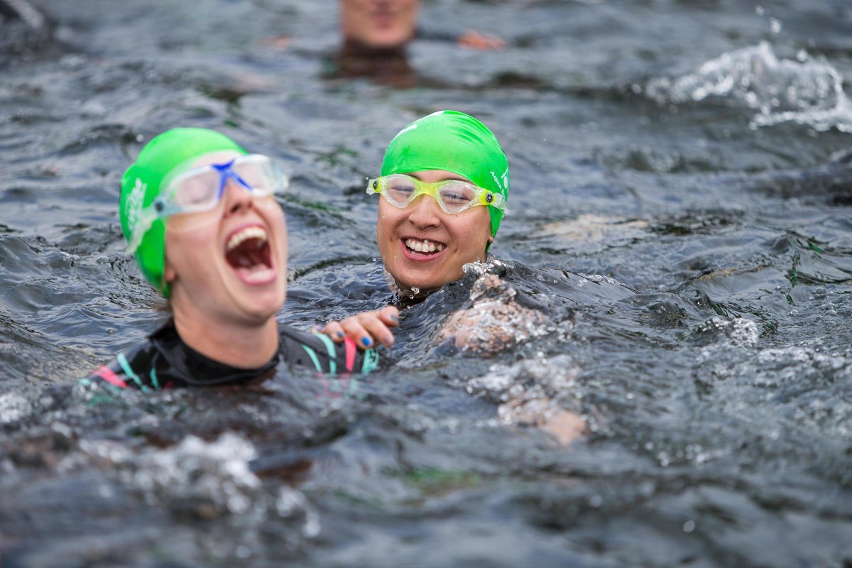 Great Swim tweet media