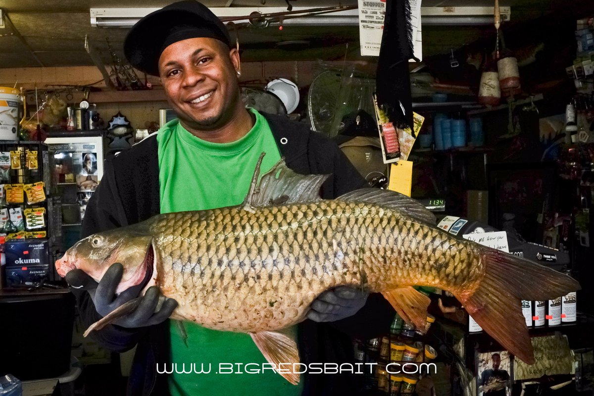 bigreds bait tweet media