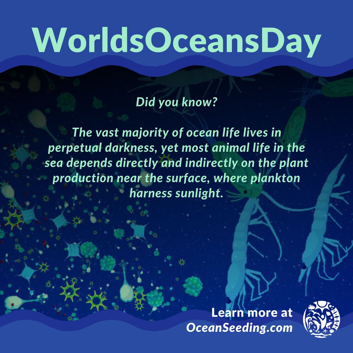 oceanseeding's tweet photo. #WorldsOceansDay #DidYouKnow Phytoplankton, the 'grass of the sea', powers the oceans and provides the oxygen you breath? #ClimateChange https://t.co/NGNJTjG2aw