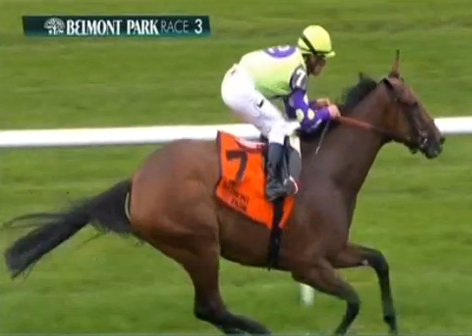 TwinSpires's tweet photo. #NewMoneyHoney wires #WonderAgain (G3) at Belmont under @jjcjockey for trainer Chad Brown during the @BelmontStakes Racing Festival https://t.co/NDktSZCfW9