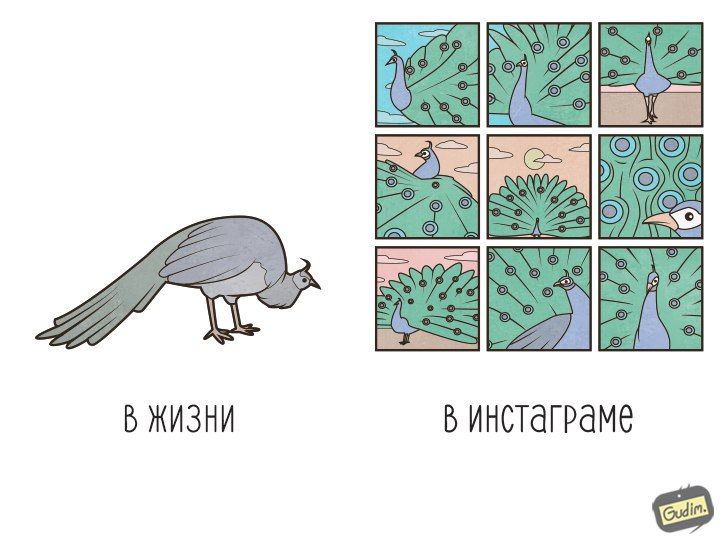 В жизни и в инстраграме