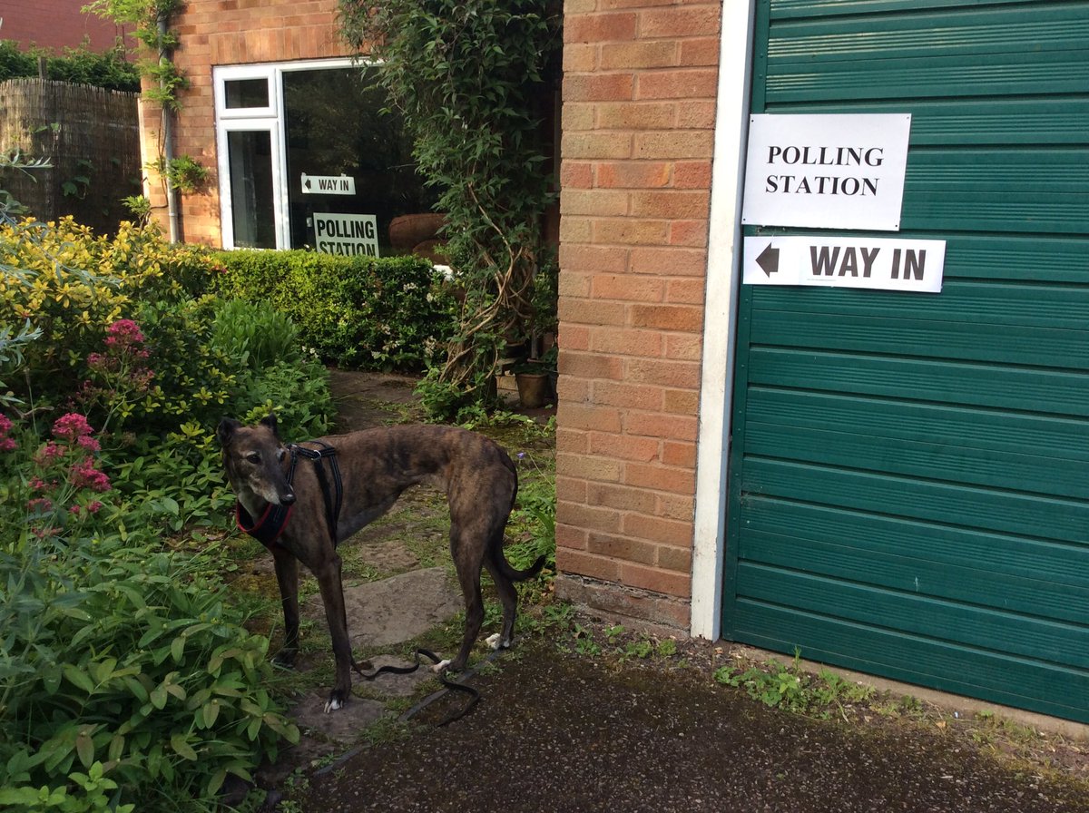 katieCoChiro's tweet photo. Evening voting for Mrs G #dogsinpollingstations #lovelivingrural #Election2017 https://t.co/5xSNga5FDD