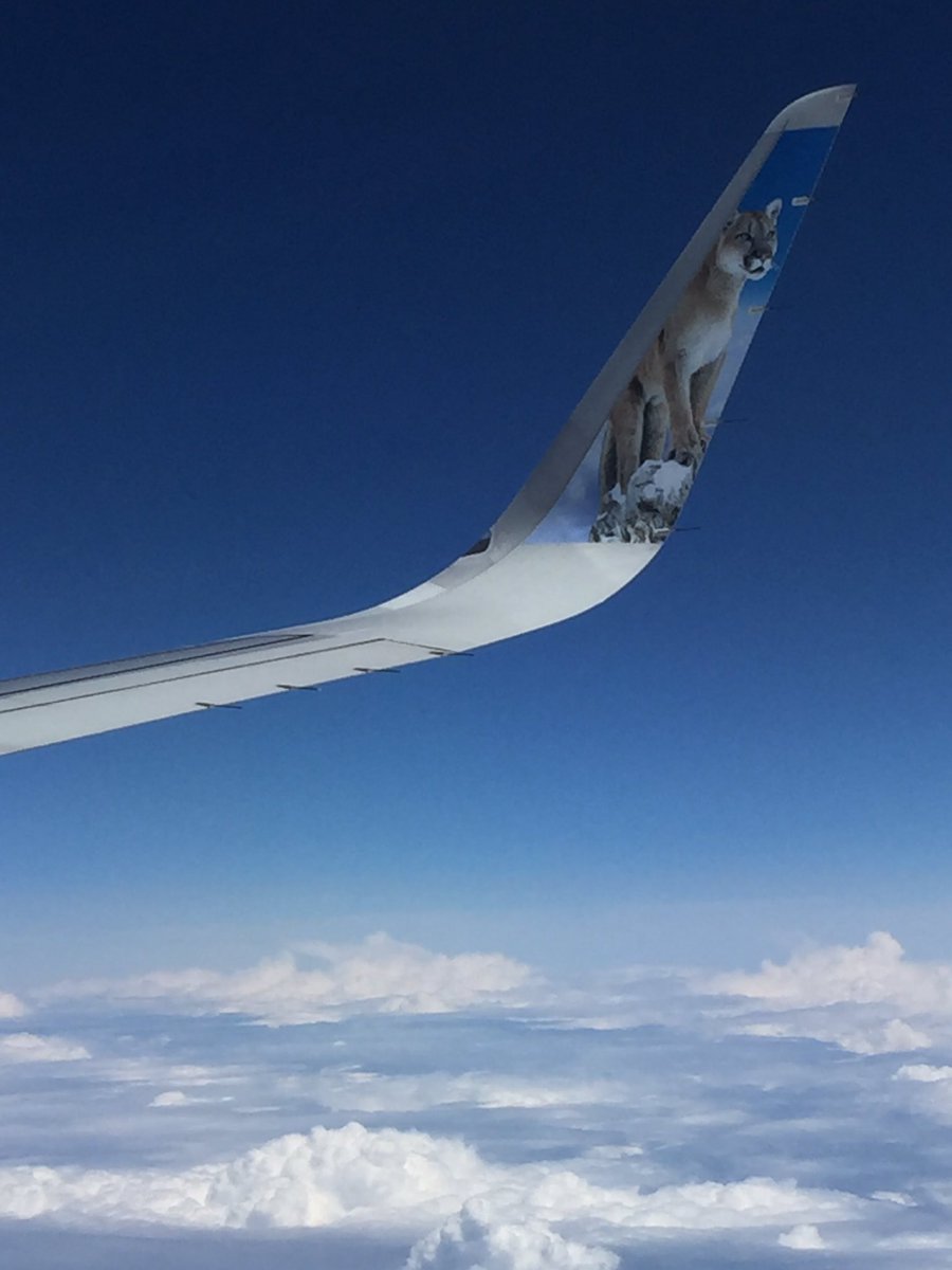 David Wittman tweet media