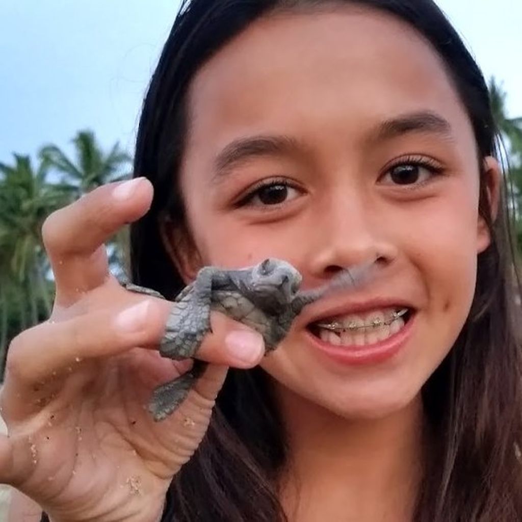 ecolunchboxes's tweet image. Every order placed at our participating web stores we’ll donate $1 to the Billion Baby Turtles project bit.ly/2r2DKMa #SEETurtles