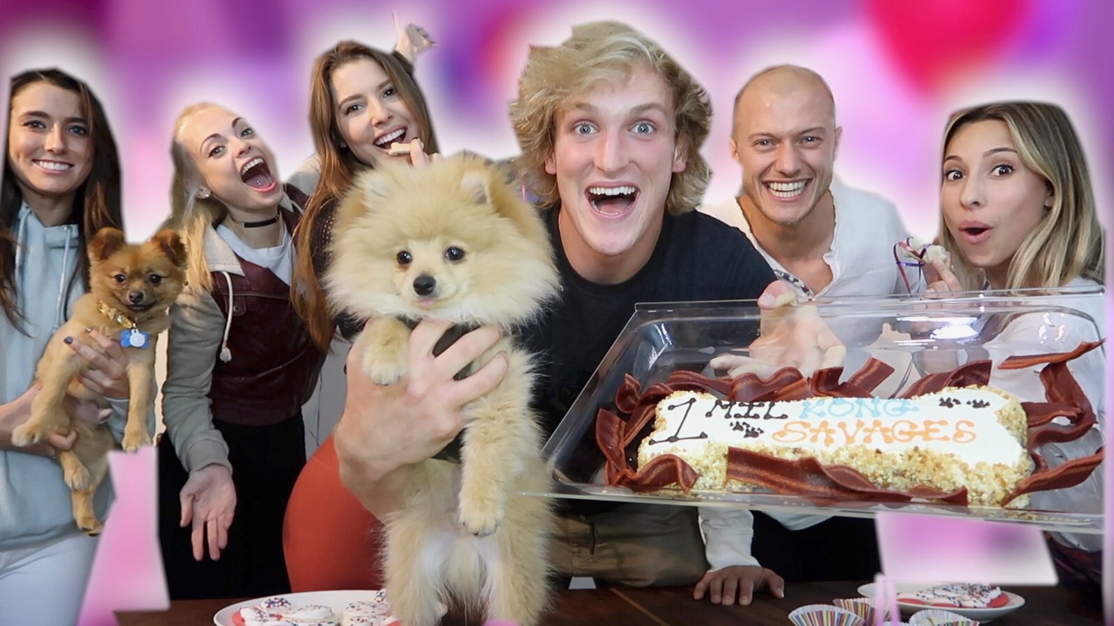 Logan Paul on Twitter: "This my dog Kong. He hit 1M ... Logan Paul on Twitter: "This my dog Kong. He hit 1M ... - 1600 x 900 jpeg 214kB