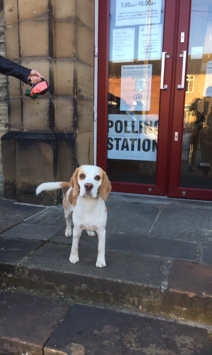 maisieb2009's tweet image. #DogsAtPollingstations
