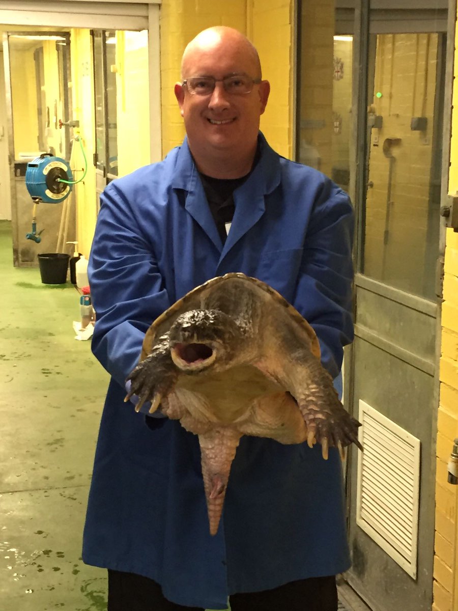 HFRSanimal's tweet photo. Exotic animal handling course for 2 of our AR Tactical Advisors. WM's Allen and Baker learnt how to handle snakes, turtles, crocodiles etc https://t.co/jzkJgnGwMh