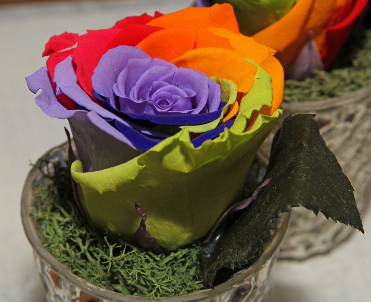 Luxe Bloom tweet media