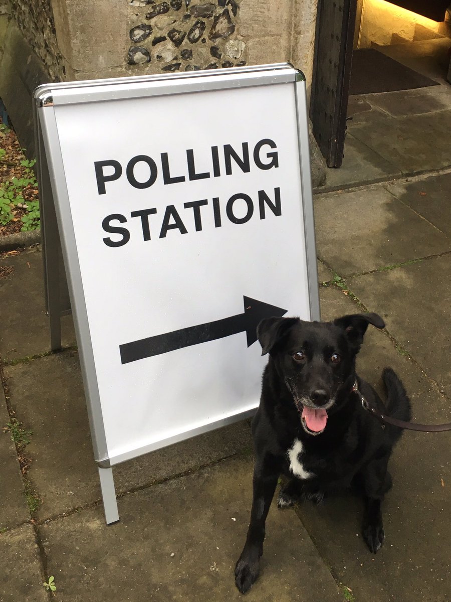 bigfatmouse's tweet photo. Finn doing his bit for democracy @DogsTrust @DT_Harefield #dogsatpollingstations https://t.co/Ul0cpWMrqe
