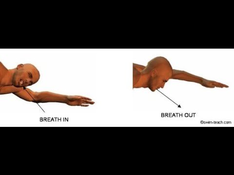 SwimmingHQ's tweet photo. #swimming Basic Front Crawl Breathing Technique - https://t.co/Hxq00UB8VD #RT #Retweet https://t.co/08CQ8Tpscb