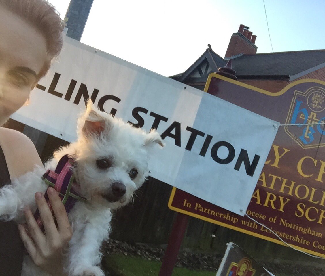 JanineSoars's tweet photo. #dogsatpollingstations https://t.co/4Gru0gRQZl