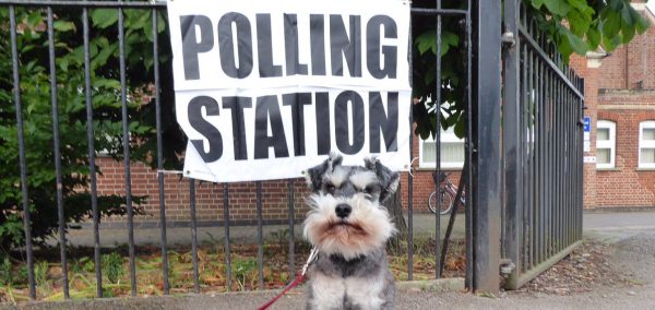 TheEpinal's tweet photo. The best of #dogsatpollingstations https://t.co/7fi97vd5Rg https://t.co/cFRcg2EAKv