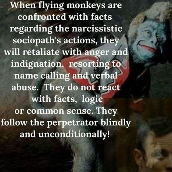 popitwit's tweet photo. @TheRickyDavila Kasowitz is a Flying Monkey supporting the MALIGNANT NARCISSIST Trump #FlyingMonkeyAlert https://t.co/dxL7mwhtk2