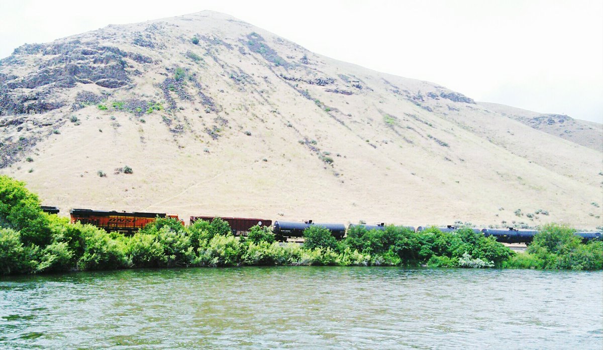 Tiffany McLeod tweet media