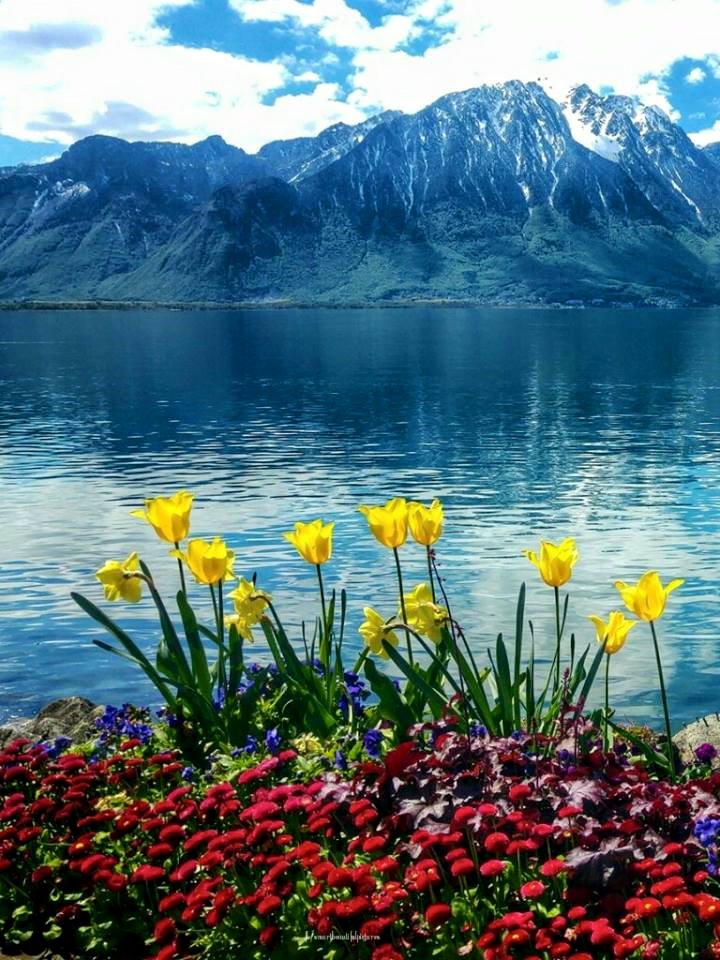 SuzanneLepage1's tweet photo. #HappyFriday TWorld 🌐💖 https://t.co/FaxYTvdWJW