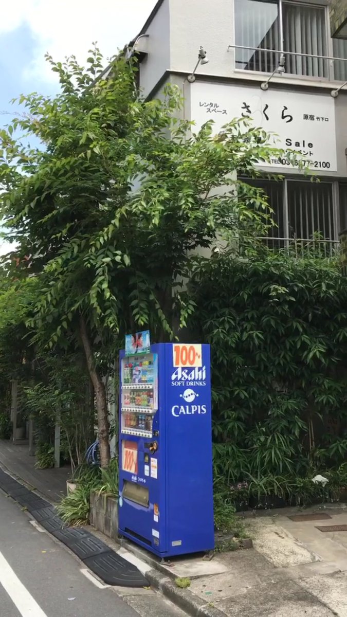 lately_tokyo's tweet photo. そのまま直進して頂き、原宿外苑��中学校の横断歩道があるので横断歩道を渡り直進すると今回の会場、さくらがあります。本日は整理券なしでのご案内になります。皆様のご来店お待ちしております🙇🏼‍♀️ https://t.co/a2HkFri4aS