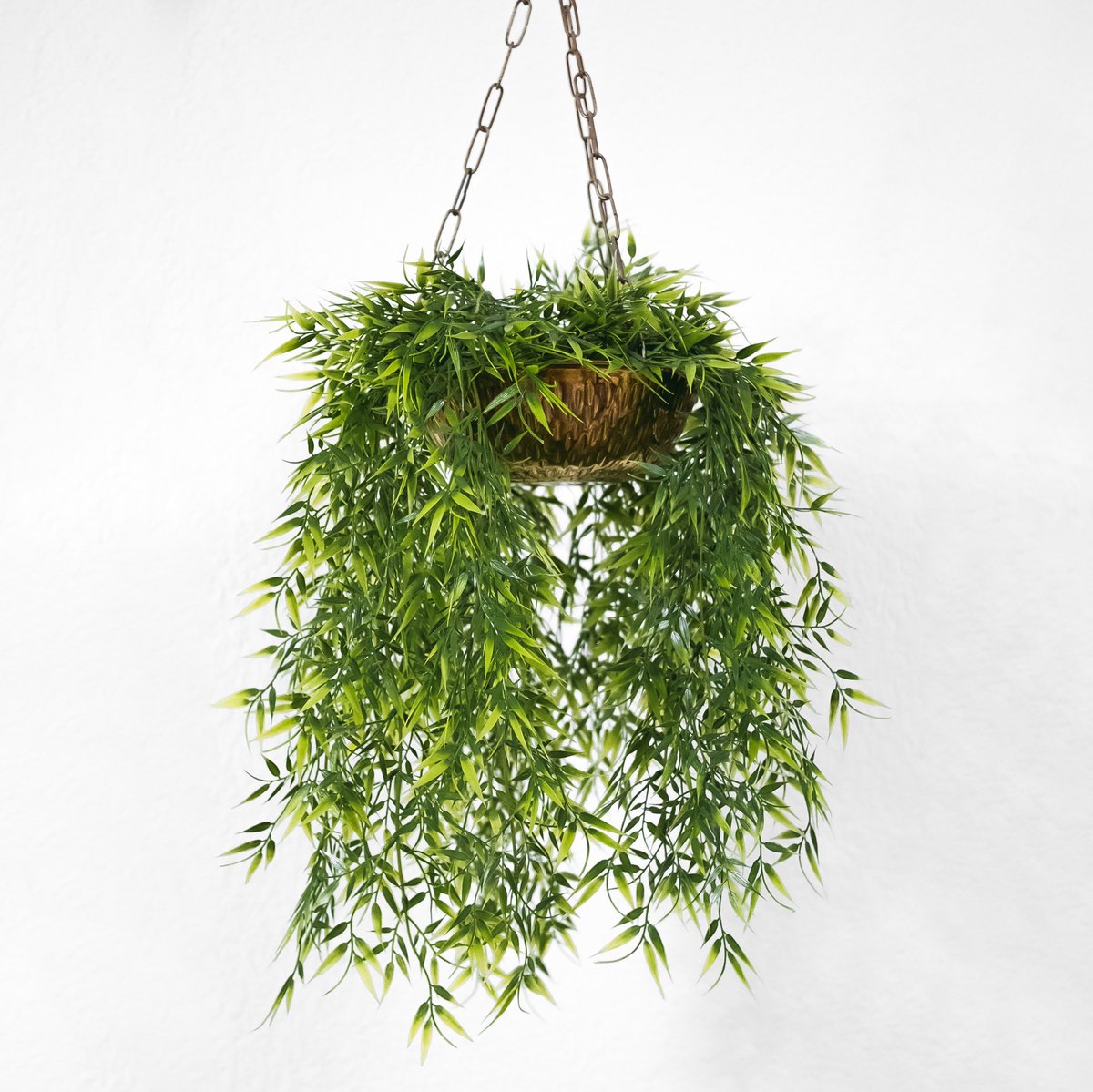 StudioMatrixAus's tweet image. Your mind is a garden, your thoughts are the seeds. You can grow flowers or you can grow weeds. #studiomatrix