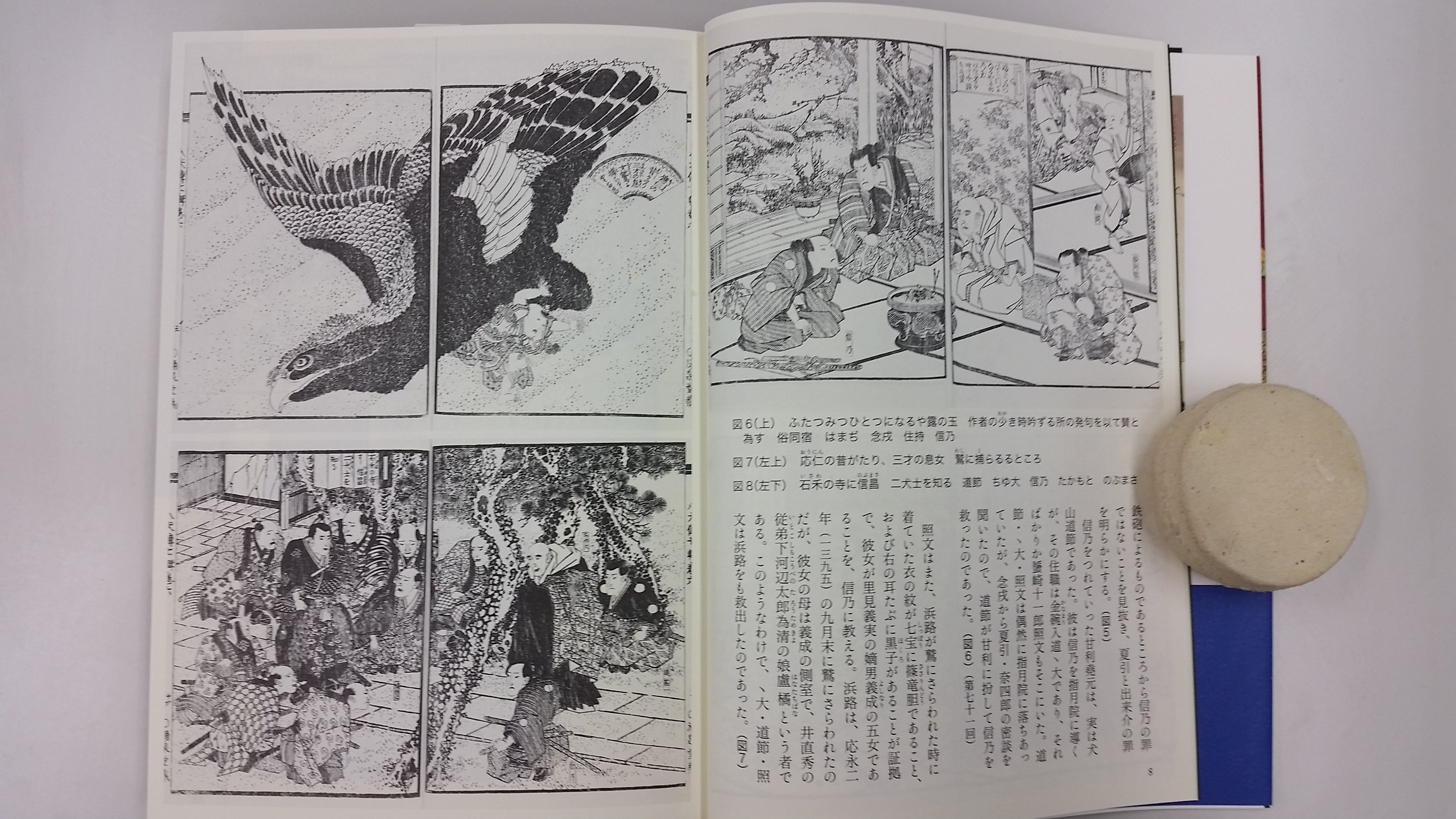 Amazon.com: 浮世絵師の絵で読む 八犬伝 上: 9784585291336
