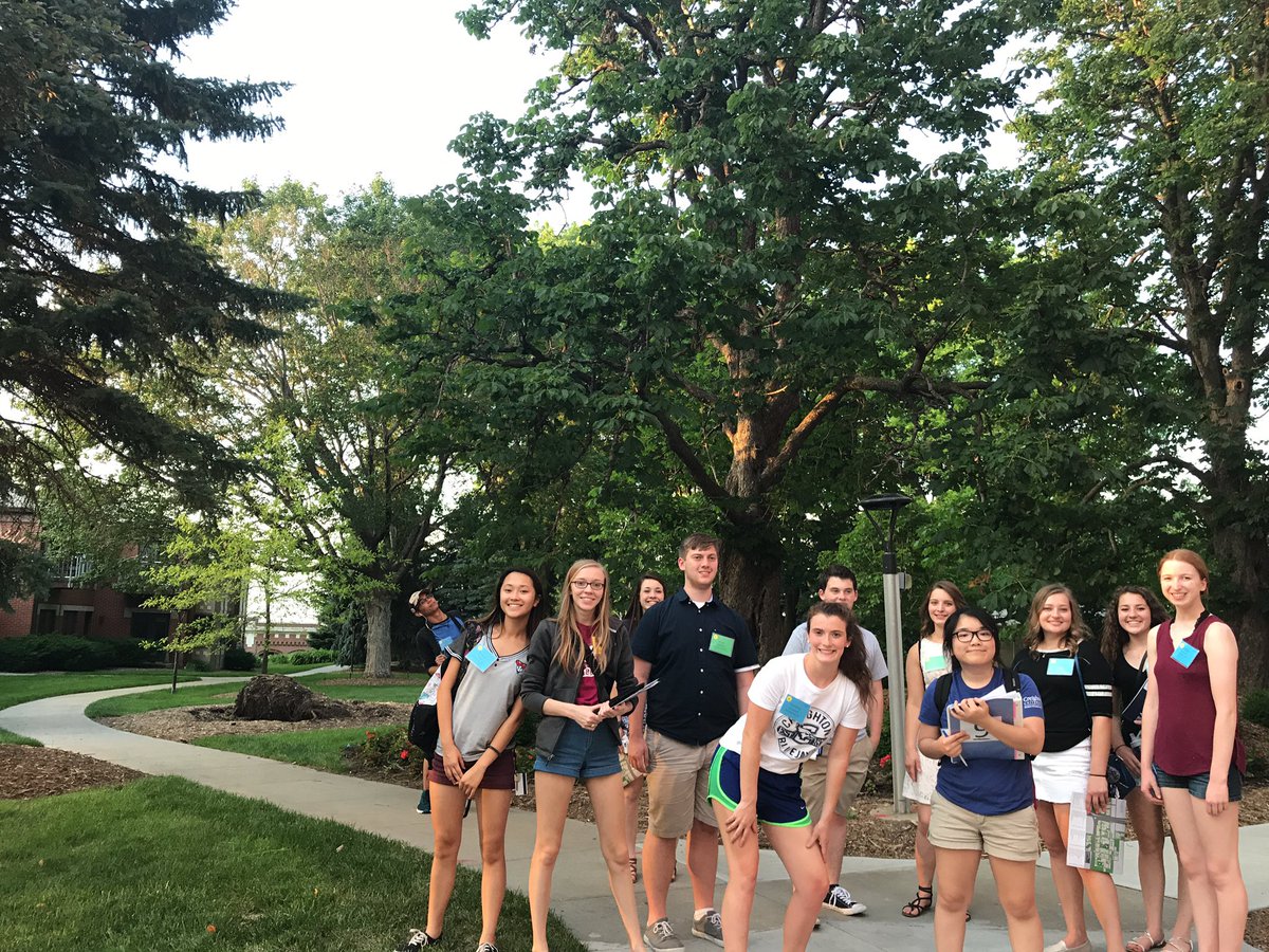 yummyyellowmac's tweet photo. @NewBluejays #SPyellow #jesuitgardens https://t.co/mzMZBAwM5k