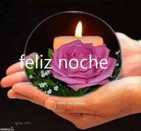 Irma Ibarra on Twitter: Irma Ibarra on Twitter: