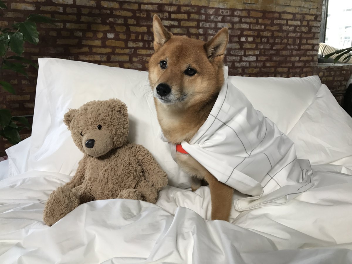 brooklinen's tweet image. these bffs are melting our hearts - happy #NationalBestFriendsDay!