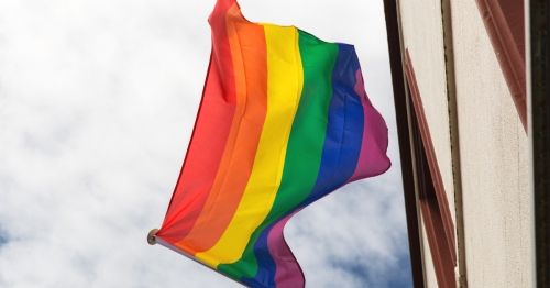PROMOMissouri's tweet photo. This #PrideMonth just a friendly reminder to remember pronoun introductions. https://t.co/PPtTNgqDSp https://t.co/p9WEXkw7kx