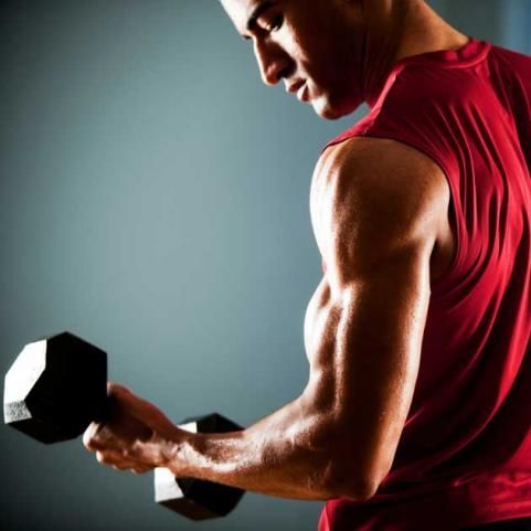 1SandraBurrns's tweet photo. guy lifting weights working his biceps https://t.co/7IVo2bfsSM