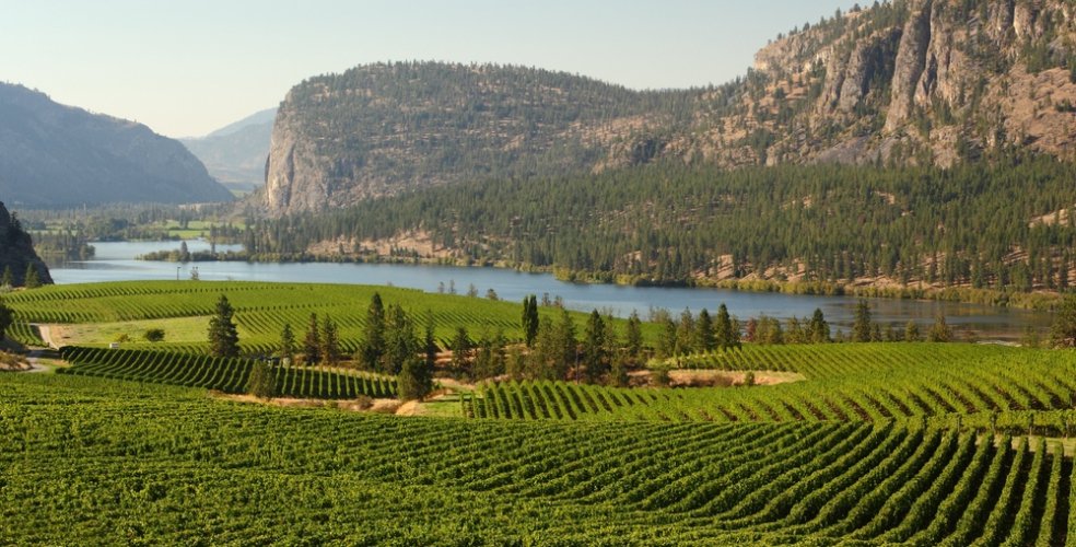 HelloBC's tweet photo. MT @TourismVernon: Okanagan Valley named world’s 2nd best wine region to visit 😃🍷 via @TOTABCnews #explorebc https://t.co/TGoivPPyEO