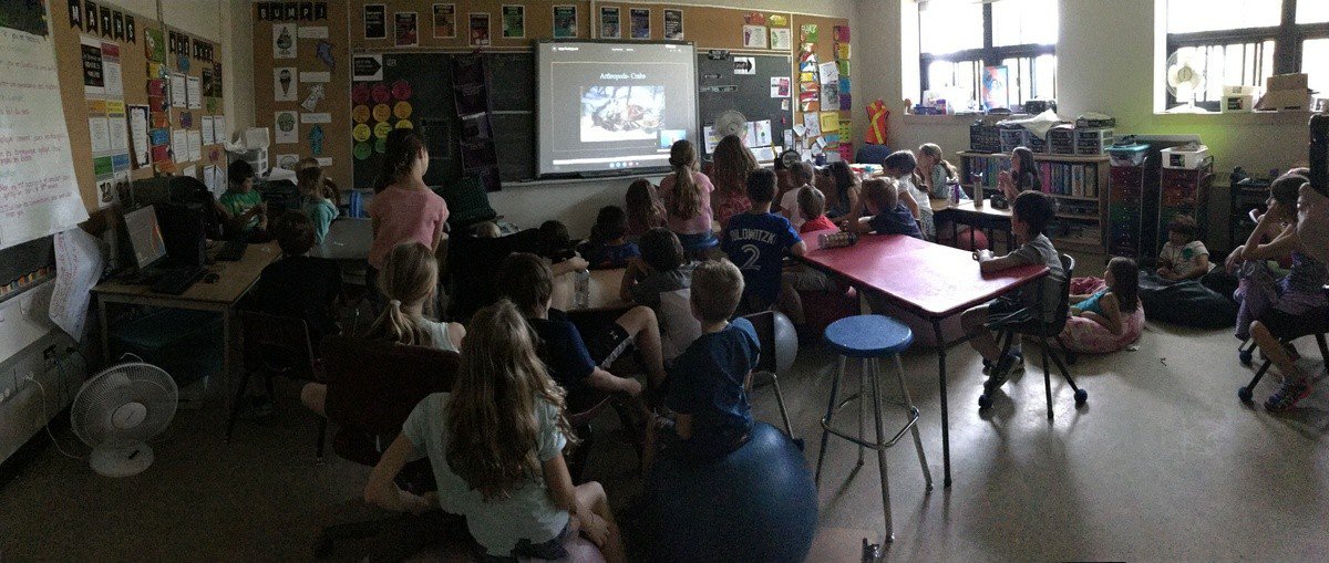AmyTeed's tweet photo. For #WorldOceansDay2017 we got to Skype with a marine biologist. We learned so many new and interesting things! #uxbridgeps https://t.co/1hfaEfgN7j