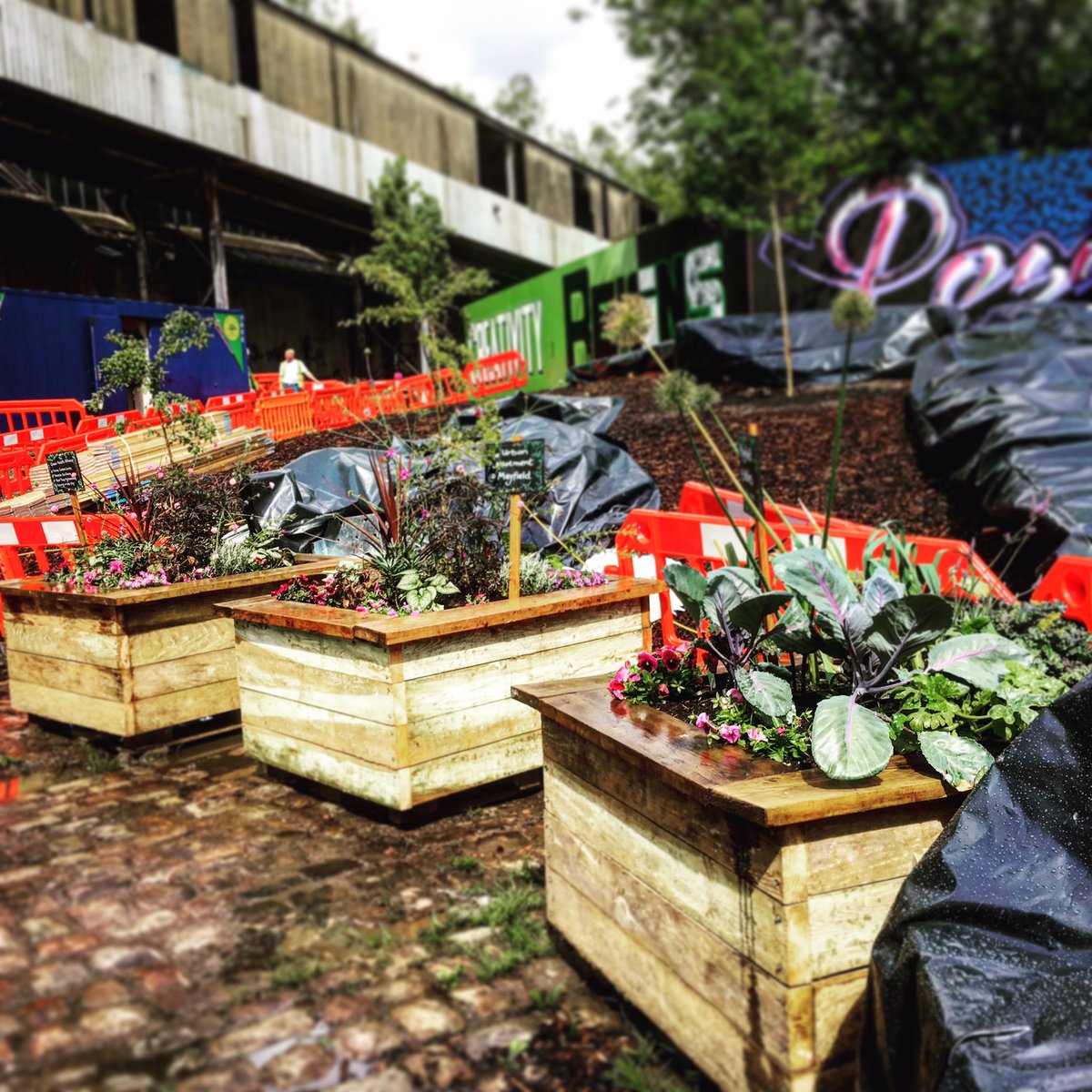 Our planters looking resplendent &amp; calm at <a href="/MayfieldMCR/">Mayfield</a> today when called in. Looking fwd to starting #urbanallotment in coming weeks