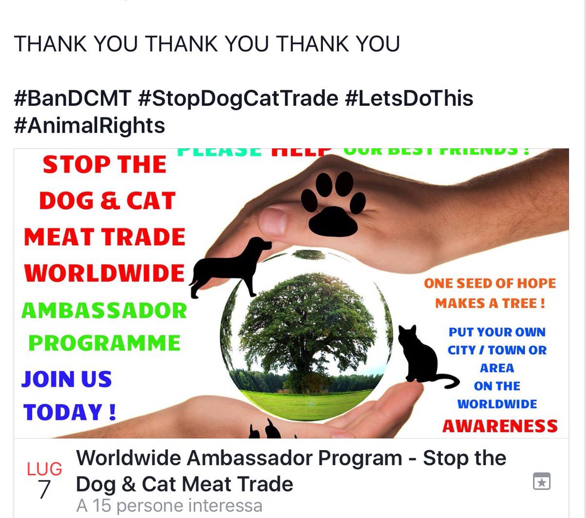 GretaAstpc's tweet photo. 💥Looking for worldwide #Animals Ambassadors
A big ❤️ and 💼 of enthusiasm required ✅
⚡️The #BanDCMtrade Movement ⚡️
https://t.co/qnp5zXXcAk https://t.co/XG3jPgl50h