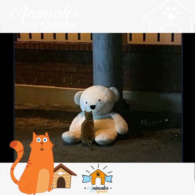 AnimalesCD's tweet photo. Lo que para ti ya no sirve... Ayuden a hacer feliz a seres vivos que siente!

🐶🐱🐦🐤🐸🐒🐈🐩🐕🐇🦉🐁🐾 #Adopta #nocompresadopta #amorcanino #amorgatuno https://t.co/jMx9i2F1Gb