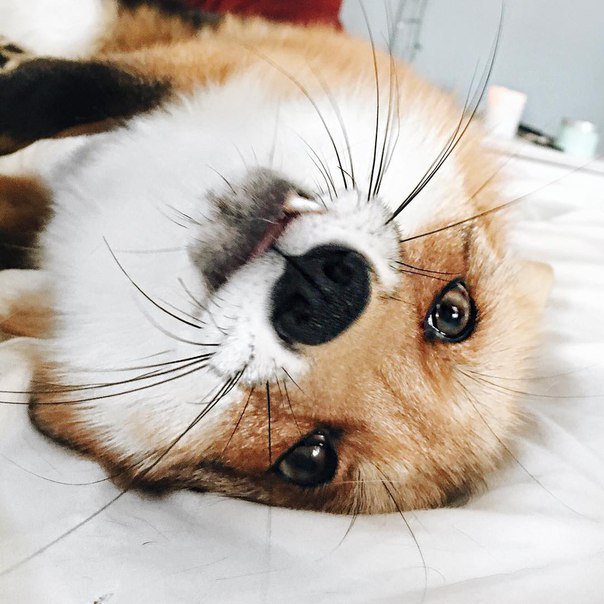 drunktwi's tweet photo. Фыр фыр https://t.co/gGM8CbKMpo