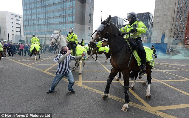 ginriot's tweet photo. @GaryLineker But Newcastle with a 2% swing to the Tories. Must be the horse hate https://t.co/9n6y7owZTY