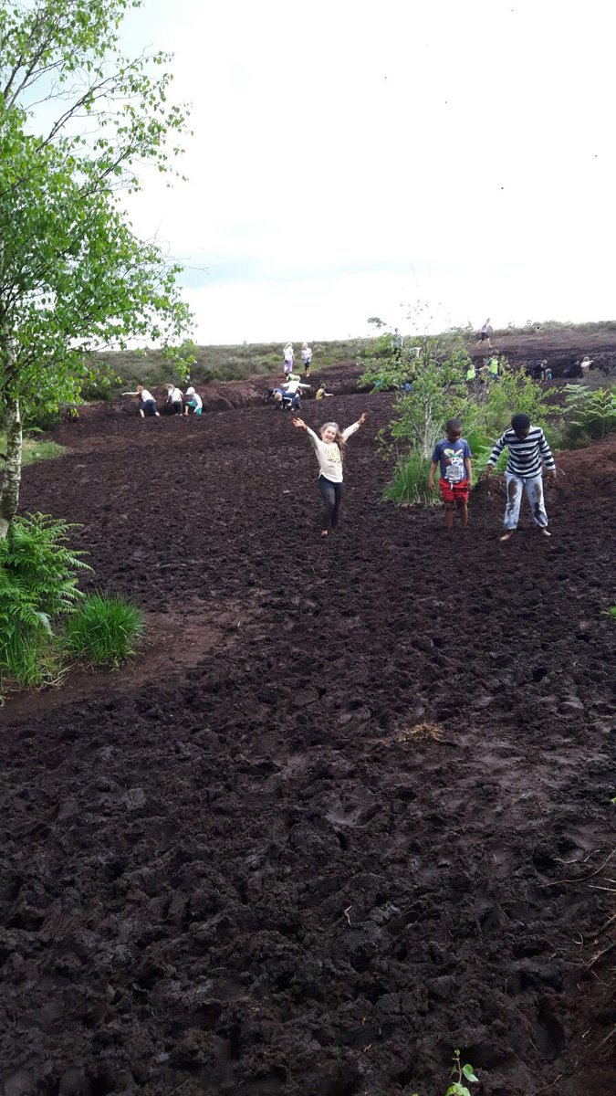 Room12Cronans's tweet photo. The bog jumping may have been the most fun!!! @causeyfarm 🤣 https://t.co/lybmwI0QES