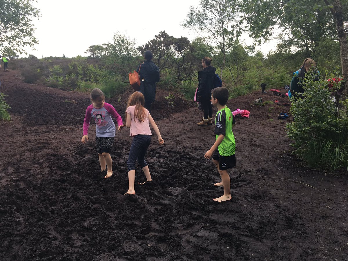 Room12Cronans's tweet photo. The bog jumping may have been the most fun!!! @causeyfarm 🤣 https://t.co/lybmwI0QES