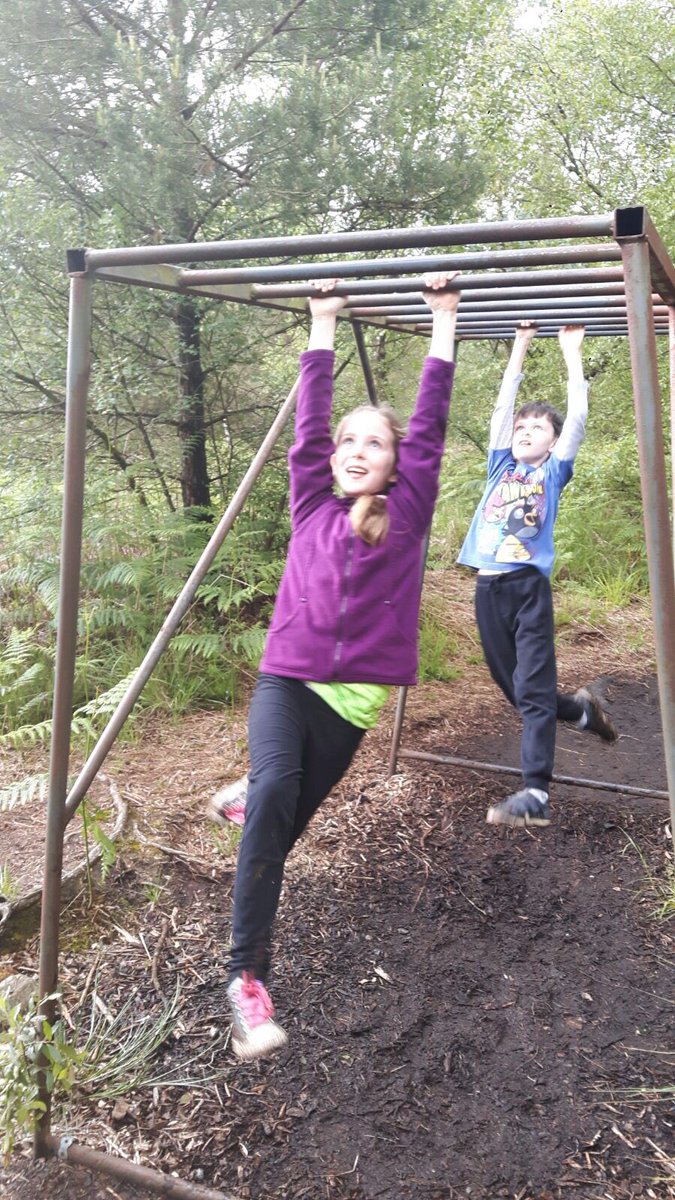 Room12Cronans's tweet photo. We also loved the obstacle course! @causeyfarm https://t.co/RPzMwWyi5E