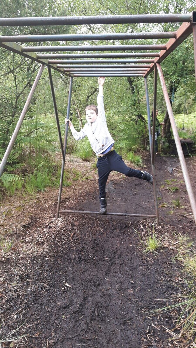 Room12Cronans's tweet photo. We also loved the obstacle course! @causeyfarm https://t.co/RPzMwWyi5E