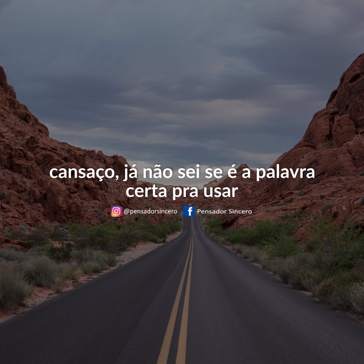 Pensador Sincero tweet media