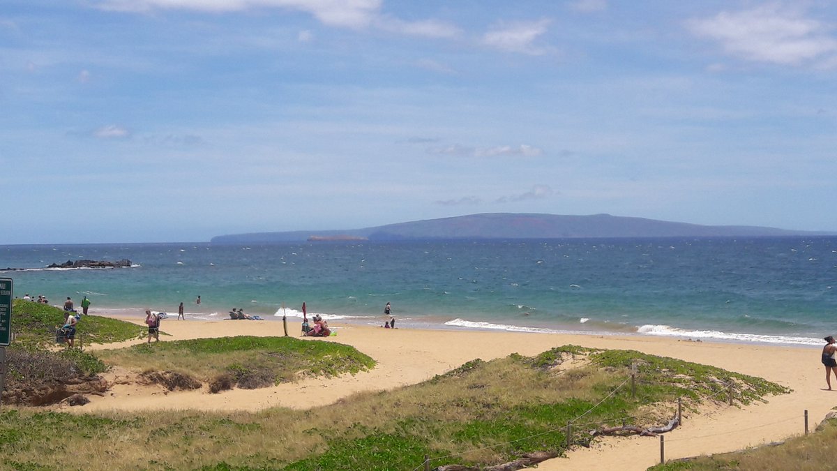 Todd Gibbs tweet media