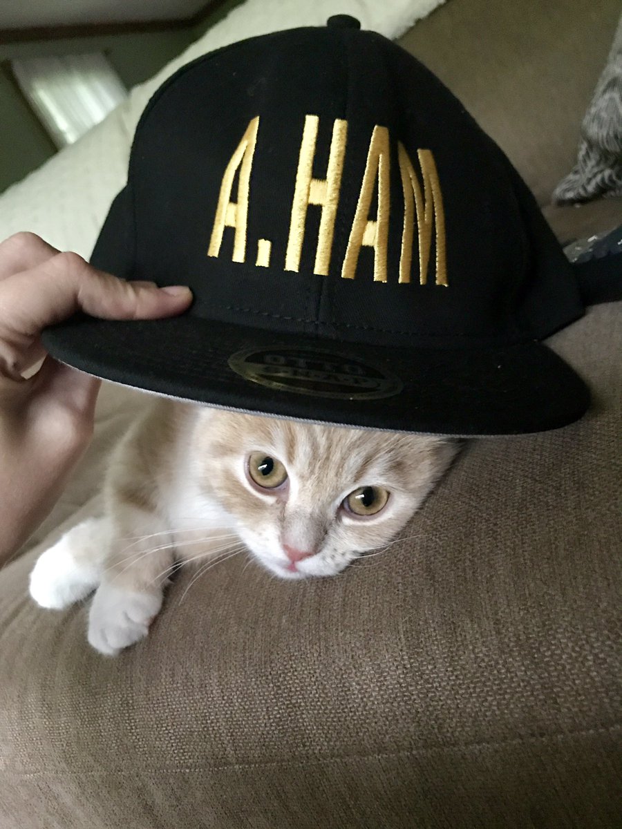julieldufour's tweet photo. . @Lin_Manuel we're thinking Tyrion would be better fit as "A.PURR" 😹 #CatsOfHamilton https://t.co/jCqpaFnR9M