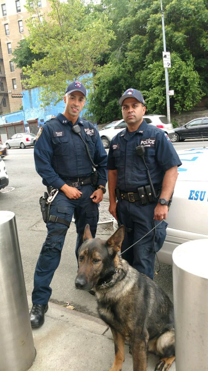 NYPD Special Ops on Twitter: \